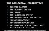 THE BIOLOGICAL PERSPECTIVE GENETIC FACTORS THE NERVOUS SYSTEM THE BRAIN THE ENDOCRINE SYSTEM THE NEUROSCIENCE REVOLUTION NEUROPHARMACOLOGY PSYCHONEUROIMMUNOLOGY.