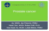 Prostate cancer As. MUDr. Jan Pokorný, FEBU Head: Doc. MUDr. Robert Grill, Ph.D. Vice-head: As. MUDr. Lukáš Bittner, FEBU Urologická klinika 3. LF UK a.