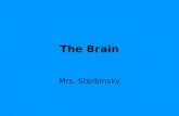 The Brain Mrs. Sterbinsky. In this section: - The History of the Brain - Decision making: What makes us moral? - Memory and the Mind - The Teen Brain.