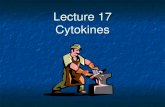 Lecture 17 Cytokines. What are cytokines? A collection of polypeptides used for communications between cells A collection of polypeptides used for communications.