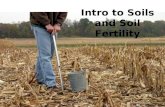 Intro to Soils and Soil Fertility. What is Soil? Provides air, water and nutrients to plants Soil provides mechanical support to plants Consists of.