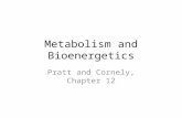 Metabolism and Bioenergetics Pratt and Cornely, Chapter 12.