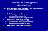 . Chapter 8: Energy and Metabolism Why do organisms need energy? How do organisms manage their energy needs? Defining terms and issues: Defining terms.