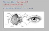 textbook sections 27-1 – 27-3 Physics 1161: Lecture 23 Lenses and your EYE Ciliary Muscles.