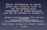 Ethnic differences in aortic pulse wave velocity occur in the descending aorta independent of blood pressure and may be related to vitamin D MR Rezai,
