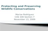 Marise Rodriguez CAS 100 Section 7 November 13, 2009.