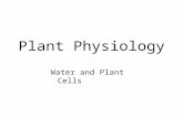 Plant Physiology Water and Plant Cells. Water and plant cells I. Background on water in plants II. The properties of water III. Understanding the direction.