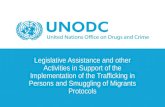 Legislative Assistance and other Activities in Support of the Implementation of the Trafficking in Persons and Smuggling of Migrants Protocols.