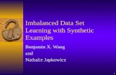 1 Imbalanced Data Set Learning with Synthetic Examples Benjamin X. Wang and Nathalie Japkowicz.