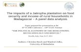 The impacts of a Jatropha plantation on food security and income of rural households in Madagascar – A panel data analysis Paper prepared for presentation.