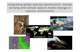 Integrating global species distributions, remote sensing and climate data to model change in species distributions.