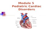 Module 5 Pediatric Cardiac Disorders. Fetal Circulation Main Blood Flow Placenta  Umbilical Vein  Liver  Ductus Venosus  Inferior Vena Cava Vena Cava.
