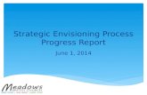 Strategic Envisioning Process Progress Report June 1, 2014.