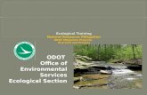 ODOT Office of Environmental Services Ecological Section.