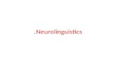 Neurolinguistics.. The study of the relationship between language and the brain is called neurolinguistics. Although this is a relatively recent term,