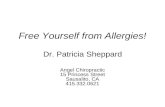 Free Yourself from Allergies! Angel Chiropractic 15 Princess Street Sausalito, CA 415.332.0621 Dr. Patricia Sheppard.