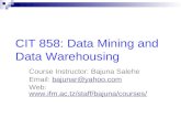 CIT 858: Data Mining and Data Warehousing Course Instructor: Bajuna Salehe Email: bajunar@yahoo.combajunar@yahoo.com Web:
