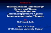 Seminar on Transplantation Immunology: Organ and Tissue Transplantation Immunosuppressive Agents, Immunosuppressive Therapy. By Mr.Pratap J. Patle Deptt.