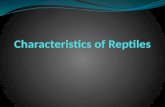 Characteristics of Reptiles Class Reptilia includes snakes, lizards, crocodiles, alligators and extinct dinosaurs. The majority of reptiles are terrestrial.