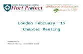 London February ‘15 Chapter Meeting Presented by: Patrick Malloy, Investment Guild.