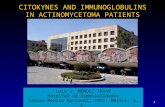 CITOKYNES AND IMMUNOGLOBULINS IN ACTINOMYCETOMA PATIENTS 1 Luis J. MÉNDEZ TOVAR Hospital de Especialidades Centro Médico Nacional, IMSS. México, D. F.