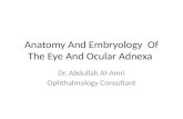Anatomy And Embryology Of The Eye And Ocular Adnexa Dr. Abdullah Al-Amri Ophthalmology Consultant.