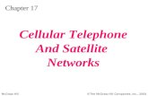 McGraw-Hill©The McGraw-Hill Companies, Inc., 2004 Chapter 17 Cellular Telephone And Satellite Networks.