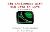 Big Challenges with Big Data in Life Sciences Shankar Subramaniam UC San Diego.