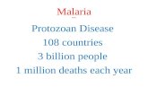 Malaria H2012 Protozoan Disease 108 countries 3 billion people 1 million deaths each year.
