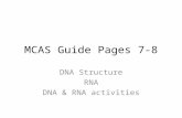 MCAS Guide Pages 7-8 DNA Structure RNA DNA & RNA activities.
