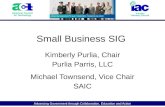 Advancing Government through Collaboration, Education and Action Small Business SIG Kimberly Purlia, Chair Purlia Parris, LLC Michael Townsend, Vice Chair.
