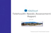 Telehealth Needs Assessment Report June 2007 Presented by Kandi Thomas/Telehealth Assistant.