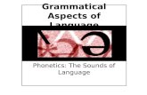 Grammatical Aspects of Language Phonetics: The Sounds of Language.