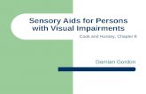 Sensory Aids for Persons with Visual Impairments Damian Gordon Cook and Hussey, Chapter 8.