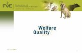 17/11/2007 1. 2 Welfare Quality® WhatWhat: EU project 6 th Framework (17 million €) PeriodPeriod: 2004-2009 PartnersPartners: 40 Institutes/Universities.