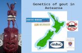 Genetics of gout in Aotearoa. Hyperuricaemia and Gout in Aotearoa Klemp et al. 1997 Dalbeth et al. 2007.