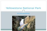 BY: JULIE JEVAHIRIAN Yellowstone National Park. What Year did Yellowstone Become an Official National Park and Why? Yellowstone became a National Park.
