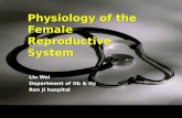 Physiology of the Female Reproductive System Liu Wei Department of Ob & Gy Ren Ji hospital Liu Wei Department of Ob & Gy Ren Ji hospital.