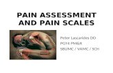 Peter Lascarides DO PGY4 PM&R SBUMC / VAMC / SCH PAIN ASSESSMENT AND PAIN SCALES.