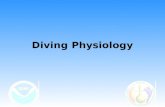 Diving Physiology. Sources Joiner, J.T. (ed.). 2001. NOAA Diving Manual - Diving for Science and Technology, Fourth Edition. Best Publishing Company,