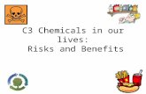 C3 Chemicals in our lives: Risks and Benefits. A journey through geological time The Earth’s outer layers are divided into a number of _________ ________.