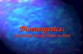 Bioenergetics: Calculating Energy Values in Food.