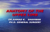 ANATOMY OF THE UPPER LIMB DR.AHMAD K. SHAHWAN PH.D. GENERAL SURGERY DR.AHMAD K. SHAHWAN PH.D. GENERAL SURGERY.