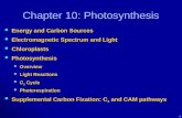 . Chapter 10: Photosynthesis Energy and Carbon Sources Energy and Carbon Sources Electromagnetic Spectrum and Light Electromagnetic Spectrum and Light.