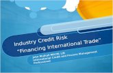 Industry Credit Risk “Financing International Trade” John Mulhall MIICM; LIB International Credit and Process Management Professional.