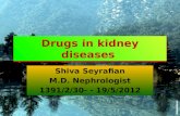 Drugs in kidney diseases Shiva Seyrafian M.D. Nephrologist 1391/2/30- - 19/5/2012.