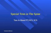 University of Delaware Special Tests in The Spine Tara Jo Manal PT,OCS, SCS.