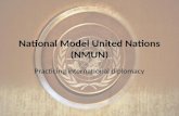 National Model United Nations (NMUN) Practicing international diplomacy.