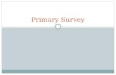 Primary Survey. When do you use it? What is it? Rapid assessment Identify anything that can kill Pt  Look for anything that’s not right Not just for.