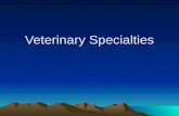 Veterinary Specialties. A Diplomate of the American Veterinary Dental College (AVDC) is a veterinarian who has been certified by AVDC as having demonstrated.